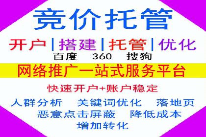sem代运营机构实战案例：提升网站流量与转化率